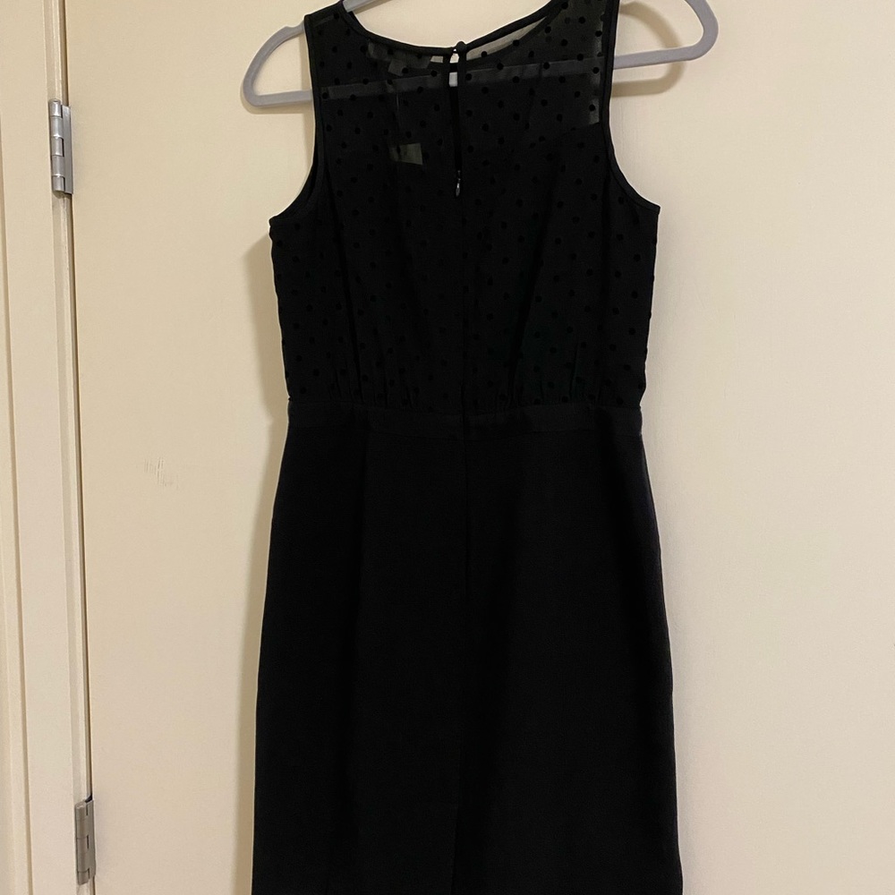 Black Loft Dress